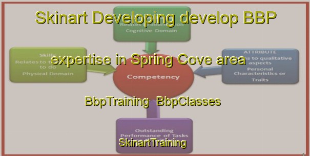 Skinart Developing develop BBP expertise in Spring Cove area | BbpTraining | BbpClasses | SkinartTraining-United States