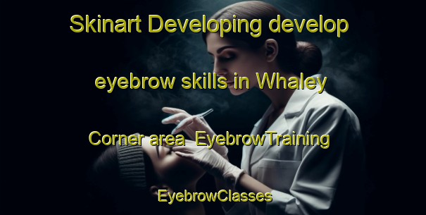 Skinart Developing develop eyebrow skills in Whaley Corner area | EyebrowTraining | EyebrowClasses | SkinartTraining-United States