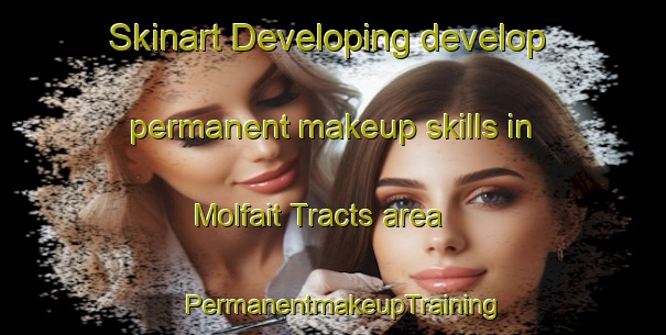 Skinart Developing develop permanent makeup skills in Molfait Tracts area | PermanentmakeupTraining | PermanentmakeupClasses | SkinartTraining-United States