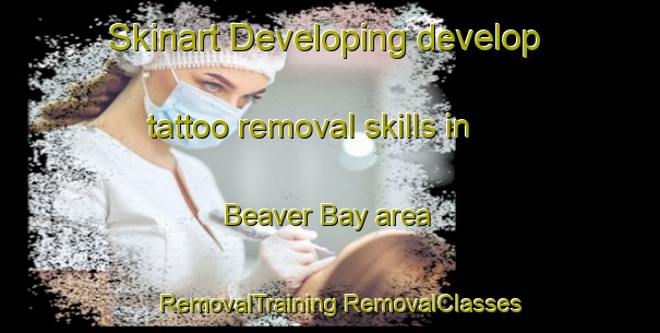 Skinart Developing develop tattoo removal skills in Beaver Bay area | #RemovalTraining #RemovalClasses #SkinartTraining-United States