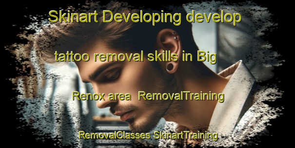 Skinart Developing develop tattoo removal skills in Big Renox area | #RemovalTraining #RemovalClasses #SkinartTraining-United States