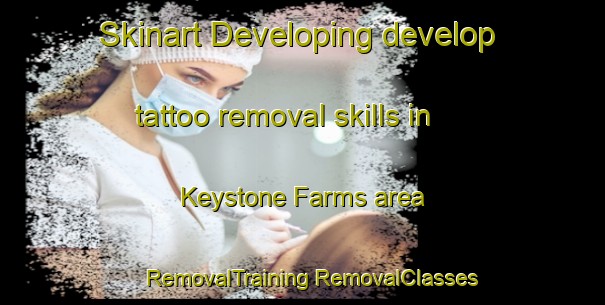 Skinart Developing develop tattoo removal skills in Keystone Farms area | #RemovalTraining #RemovalClasses #SkinartTraining-United States