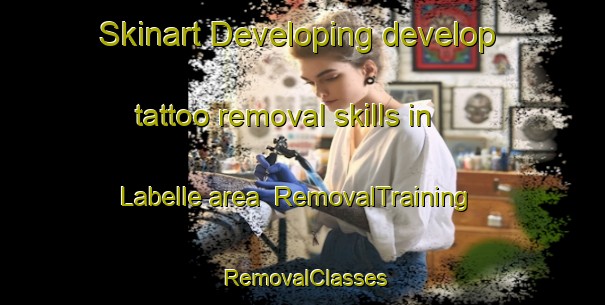 Skinart Developing develop tattoo removal skills in Labelle area | RemovalTraining | RemovalClasses | SkinartTraining-United States