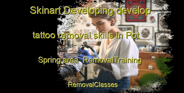 Skinart Developing develop tattoo removal skills in Pot Spring area | RemovalTraining | RemovalClasses | SkinartTraining-United States