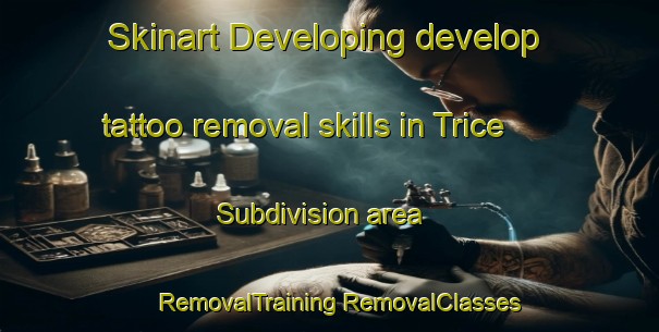 Skinart Developing develop tattoo removal skills in Trice Subdivision area | #RemovalTraining #RemovalClasses #SkinartTraining-United States