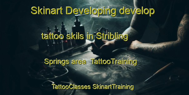 Skinart Developing develop tattoo skils in Stribling Springs area | #TattooTraining #TattooClasses #SkinartTraining-United States