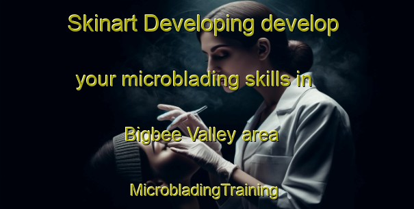 Skinart Developing develop your microblading skills in Bigbee Valley area | #MicrobladingTraining #MicrobladingClasses #SkinartTraining-United States