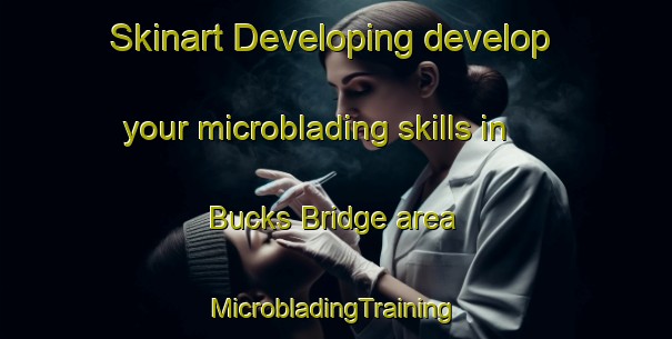 Skinart Developing develop your microblading skills in Bucks Bridge area | #MicrobladingTraining #MicrobladingClasses #SkinartTraining-United States