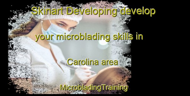 Skinart Developing develop your microblading skills in Carolina area | #MicrobladingTraining #MicrobladingClasses #SkinartTraining-United States