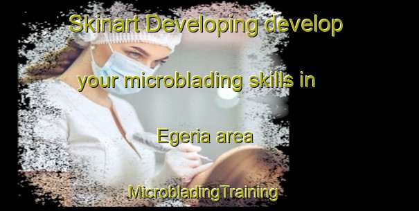 Skinart Developing develop your microblading skills in Egeria area | MicrobladingTraining | MicrobladingClasses | SkinartTraining-United States