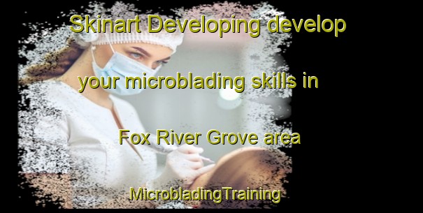 Skinart Developing develop your microblading skills in Fox River Grove area | MicrobladingTraining | MicrobladingClasses | SkinartTraining-United States