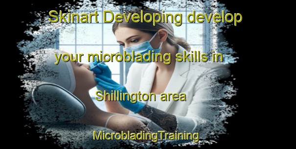 Skinart Developing develop your microblading skills in Shillington area | #MicrobladingTraining #MicrobladingClasses #SkinartTraining-United States