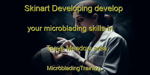 Skinart Developing develop your microblading skills in Teays Meadow area | #MicrobladingTraining #MicrobladingClasses #SkinartTraining-United States