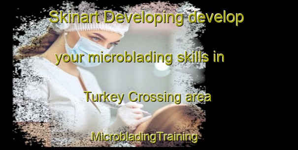 Skinart Developing develop your microblading skills in Turkey Crossing area | MicrobladingTraining | MicrobladingClasses | SkinartTraining-United States