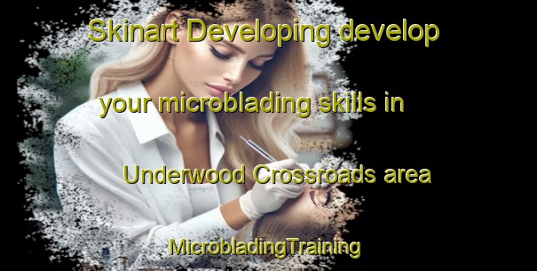 Skinart Developing develop your microblading skills in Underwood Crossroads area | #MicrobladingTraining #MicrobladingClasses #SkinartTraining-United States