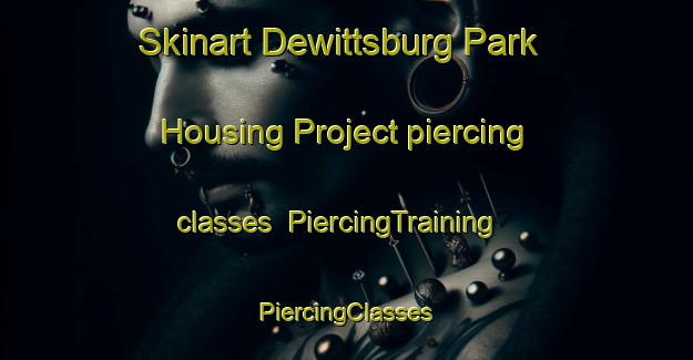 Skinart Dewittsburg Park Housing Project piercing classes | #PiercingTraining #PiercingClasses #SkinartTraining-United States