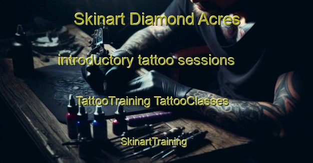 Skinart Diamond Acres introductory tattoo sessions | #TattooTraining #TattooClasses #SkinartTraining-United States