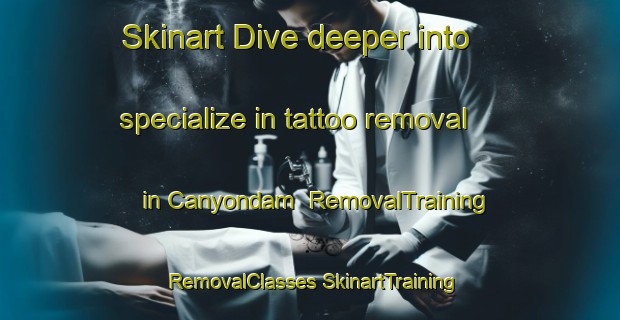 Skinart Dive deeper into specialize in tattoo removal in Canyondam | #RemovalTraining #RemovalClasses #SkinartTraining-United States