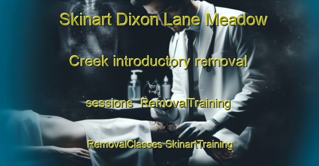 Skinart Dixon Lane Meadow Creek introductory removal sessions | #RemovalTraining #RemovalClasses #SkinartTraining-United States