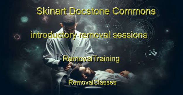 Skinart Docstone Commons introductory removal sessions | RemovalTraining | RemovalClasses | SkinartTraining-United States