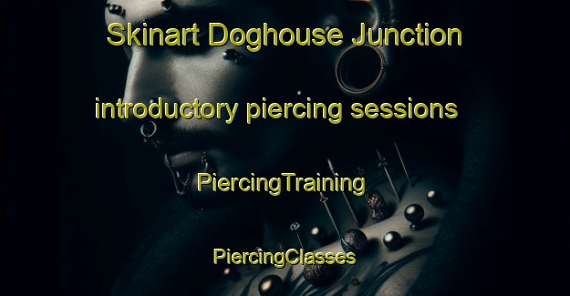 Skinart Doghouse Junction introductory piercing sessions | #PiercingTraining #PiercingClasses #SkinartTraining-United States