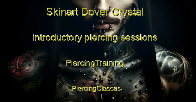 Skinart Dover Crystal introductory piercing sessions | PiercingTraining | PiercingClasses | SkinartTraining-United States