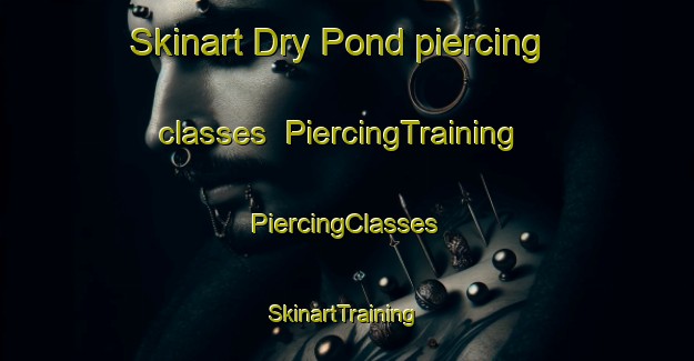 Skinart Dry Pond piercing classes | #PiercingTraining #PiercingClasses #SkinartTraining-United States