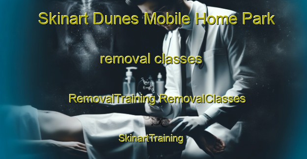 Skinart Dunes Mobile Home Park removal classes | #RemovalTraining #RemovalClasses #SkinartTraining-United States