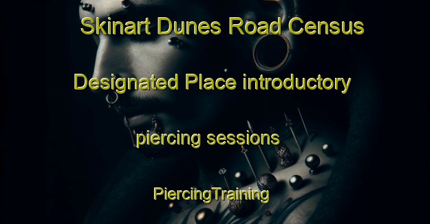 Skinart Dunes Road Census Designated Place introductory piercing sessions | #PiercingTraining #PiercingClasses #SkinartTraining-United States