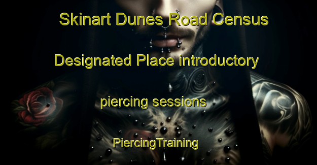 Skinart Dunes Road Census Designated Place introductory piercing sessions | #PiercingTraining #PiercingClasses #SkinartTraining-United States