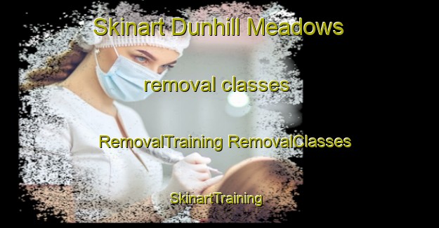 Skinart Dunhill Meadows removal classes | #RemovalTraining #RemovalClasses #SkinartTraining-United States