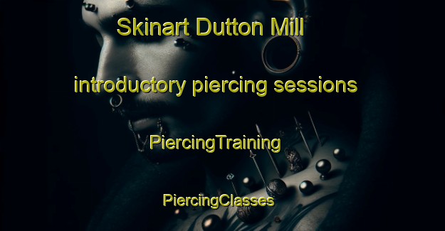 Skinart Dutton Mill introductory piercing sessions | PiercingTraining | PiercingClasses | SkinartTraining-United States
