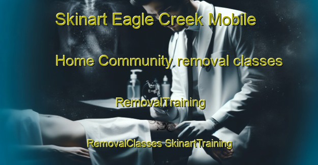 Skinart Eagle Creek Mobile Home Community removal classes | #RemovalTraining #RemovalClasses #SkinartTraining-United States