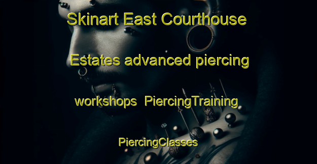 Skinart East Courthouse Estates advanced piercing workshops | #PiercingTraining #PiercingClasses #SkinartTraining-United States