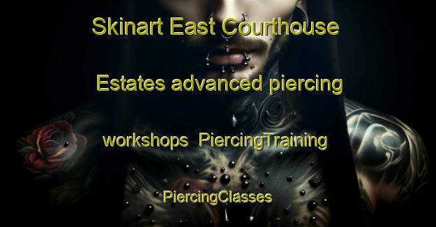 Skinart East Courthouse Estates advanced piercing workshops | #PiercingTraining #PiercingClasses #SkinartTraining-United States