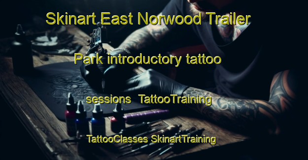 Skinart East Norwood Trailer Park introductory tattoo sessions | #TattooTraining #TattooClasses #SkinartTraining-United States