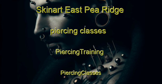 Skinart East Pea Ridge piercing classes | #PiercingTraining #PiercingClasses #SkinartTraining-United States