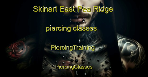 Skinart East Pea Ridge piercing classes | #PiercingTraining #PiercingClasses #SkinartTraining-United States