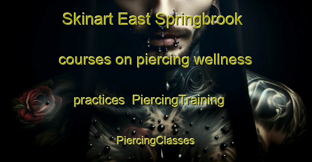 Skinart East Springbrook courses on piercing wellness practices | #PiercingTraining #PiercingClasses #SkinartTraining-United States