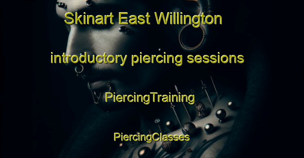 Skinart East Willington introductory piercing sessions | #PiercingTraining #PiercingClasses #SkinartTraining-United States