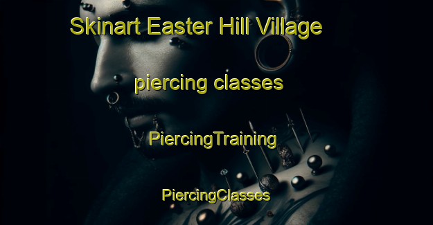 Skinart Easter Hill Village piercing classes | #PiercingTraining #PiercingClasses #SkinartTraining-United States