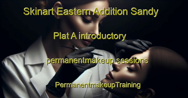 Skinart Eastern Addition Sandy Plat A introductory permanentmakeup sessions | #PermanentmakeupTraining #PermanentmakeupClasses #SkinartTraining-United States