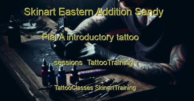 Skinart Eastern Addition Sandy Plat A introductory tattoo sessions | #TattooTraining #TattooClasses #SkinartTraining-United States