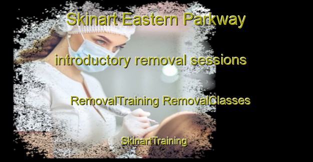 Skinart Eastern Parkway introductory removal sessions | #RemovalTraining #RemovalClasses #SkinartTraining-United States