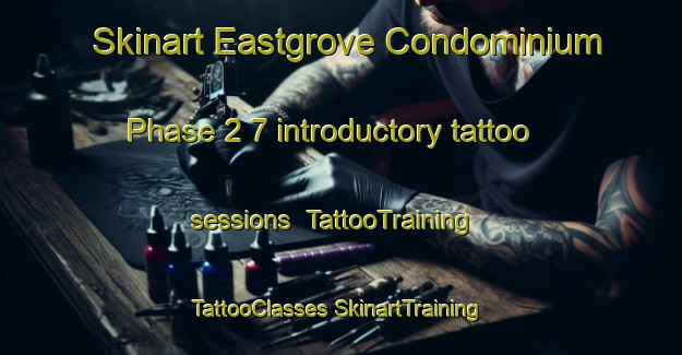 Skinart Eastgrove Condominium Phase 2 7 introductory tattoo sessions | #TattooTraining #TattooClasses #SkinartTraining-United States