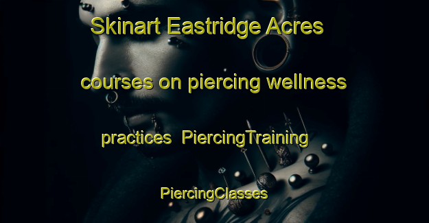 Skinart Eastridge Acres courses on piercing wellness practices | #PiercingTraining #PiercingClasses #SkinartTraining-United States