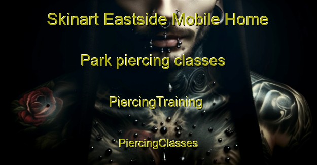 Skinart Eastside Mobile Home Park piercing classes | #PiercingTraining #PiercingClasses #SkinartTraining-United States