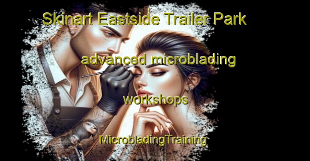 Skinart Eastside Trailer Park advanced microblading workshops | #MicrobladingTraining #MicrobladingClasses #SkinartTraining-United States