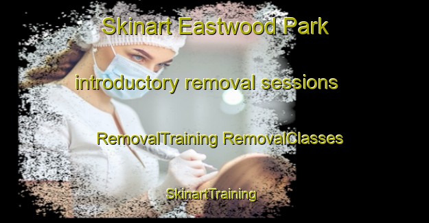 Skinart Eastwood Park introductory removal sessions | #RemovalTraining #RemovalClasses #SkinartTraining-United States