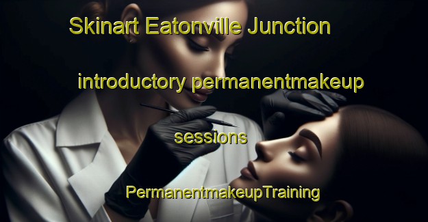 Skinart Eatonville Junction introductory permanentmakeup sessions | #PermanentmakeupTraining #PermanentmakeupClasses #SkinartTraining-United States